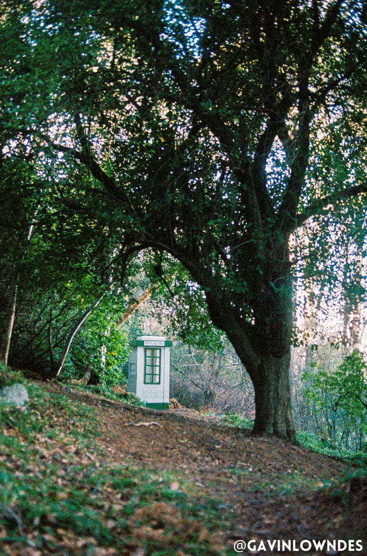 Green phonebox in the forest shot with portra 400