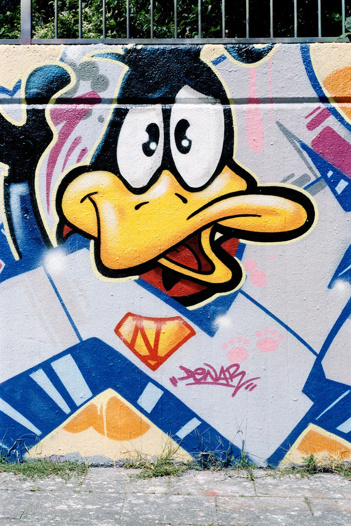 Sample image of daffy duck on a wall graffiti with orwo wolfen nc500